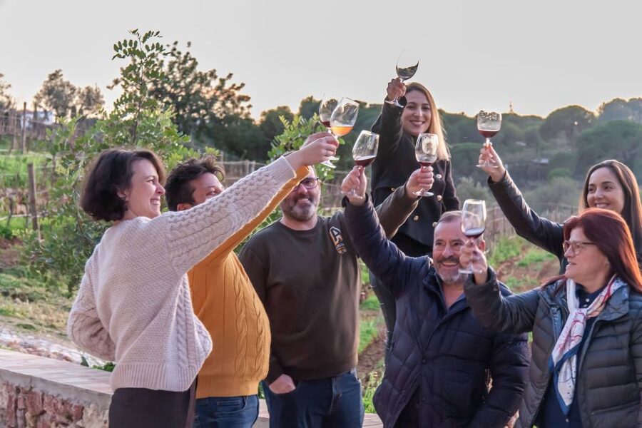 Porches: Algarve Vineyard Tour and Wine Tasting Experience - Who should book this Porches wine experience?