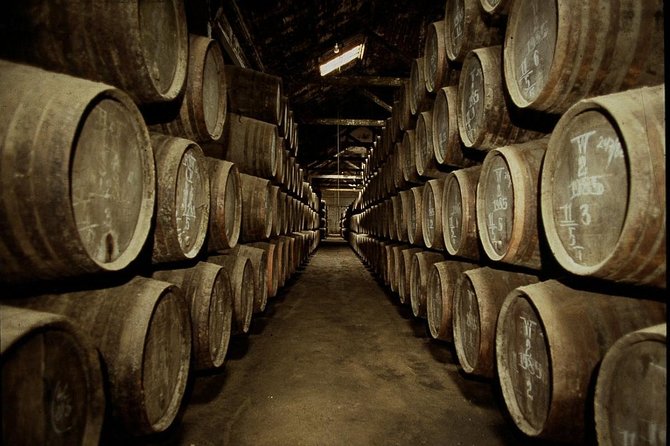 Port Wine Lodges Tour Including 7 Port Wine Tastings (English) - The second cellar and the young Ruby Port