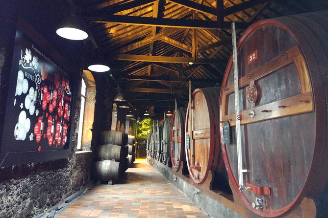 Port Wine Lodges Tour Including 7 Port Wine Tastings (English) - The guide can shape the whole experience