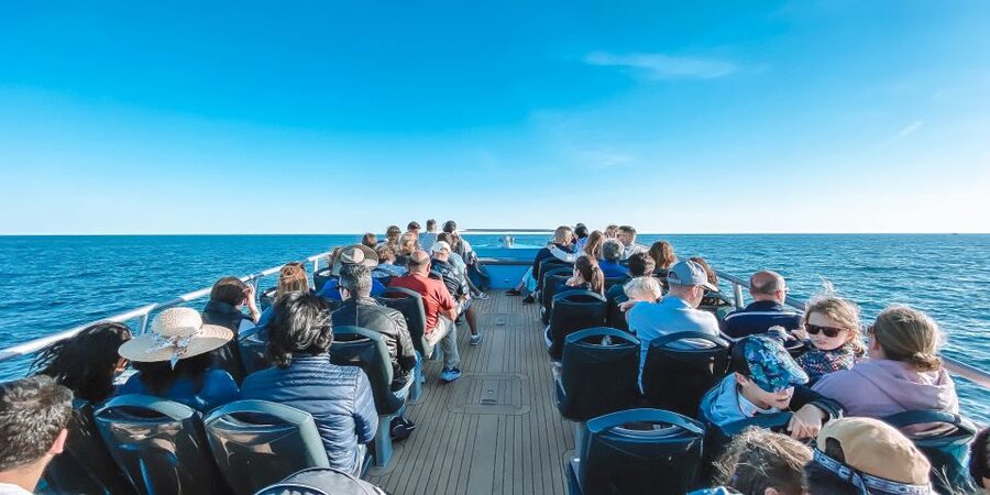 Portimão: Benagil Caves & Dolphins Watching with Biologist - The ride toward Marinha Beach and the Algarve cliffs