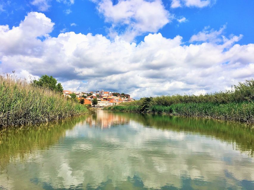 Portimão: Silves & Arade River History Tour on a Solar Boat - Should you book the Portimão to Silves solar boat?