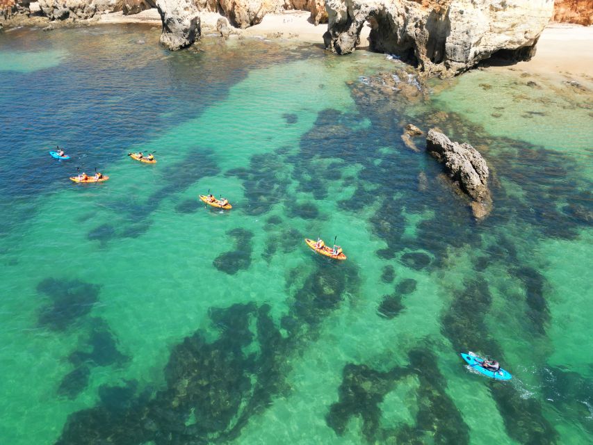 Portimão: Small Group Kayak Cave and Cliff Tour - Why this kayak tour is different from a standard Algarve boat trip