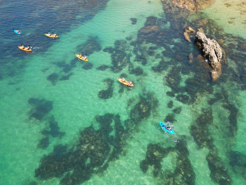 Portimão: Small Group Kayak Cave and Cliff Tour - Helpful planning details before booking