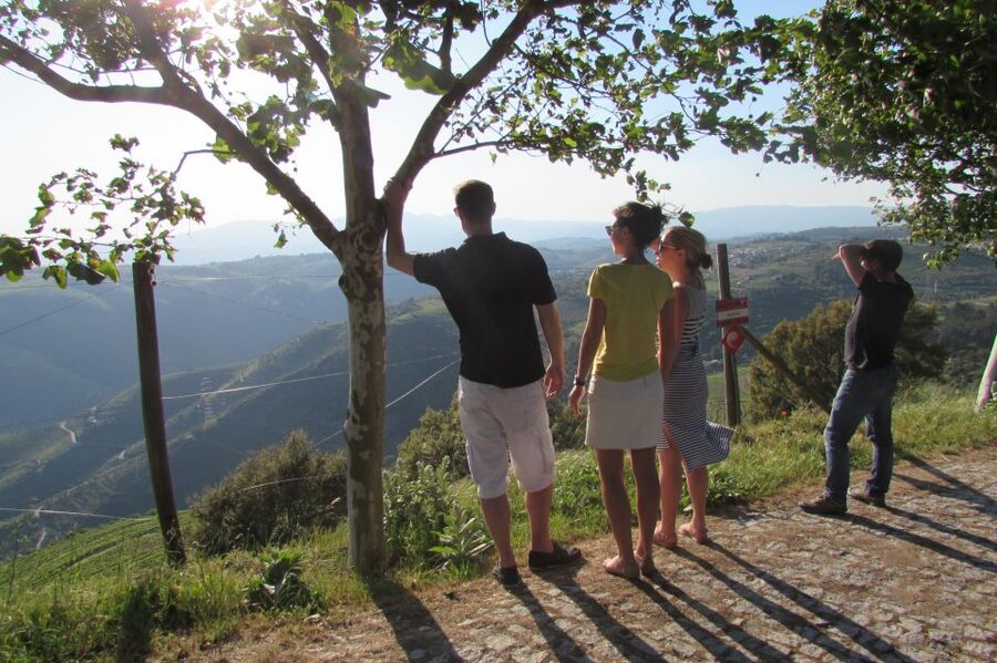 Porto: 3 Douro Valley Vineyards Tour with Lunch - The second estate and lunch among the vines