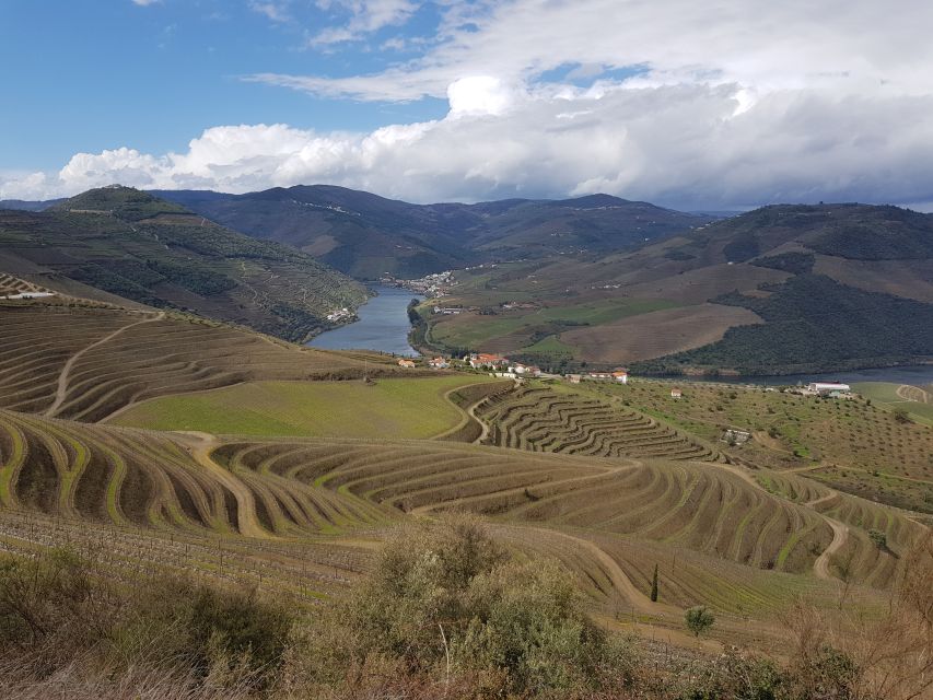 Porto: 3 Douro Valley Vineyards Tour with Lunch - Group size, comfort, and accessibility