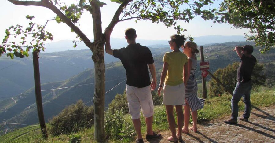 Porto: 3 Douro Valley Vineyards Tour with Lunch - First winery: a personal introduction to Douro wine