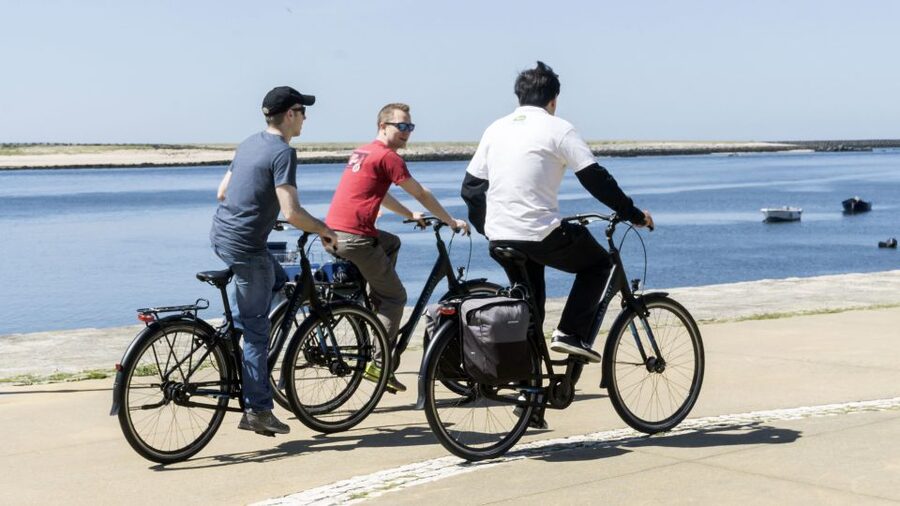 Porto: 3-Hour Bike Tour - Castelo do Queijo and Matosinhos Beach