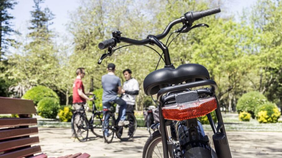 Porto: 3-Hour Bike Tour - City Park, Pasteleira, and green Porto