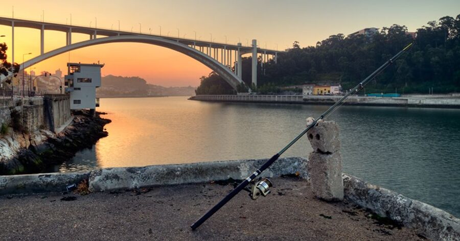 Porto: 3-Hour Bike Tour - Bikes, hills, weather, and safety