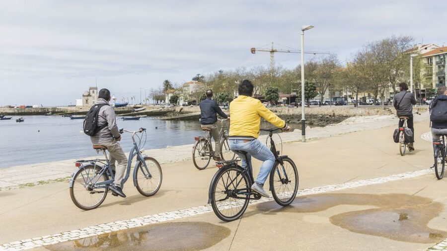Porto: 3-Hour Bike Tour - Should you book this Porto bike tour?