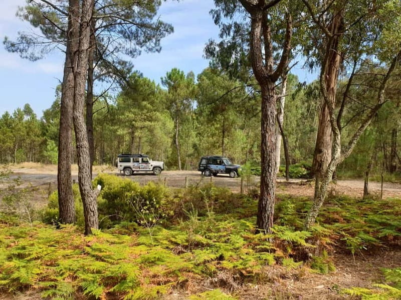 Porto: 4x4 Mountain Tour - Who will enjoy this 4x4 tour most