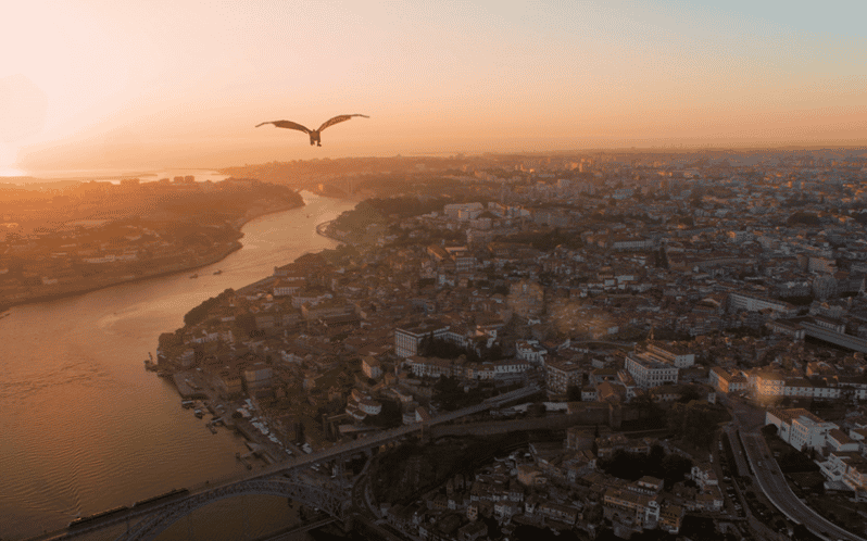 Porto: 5D Flight over de City for all family. - Key Points Before You Book