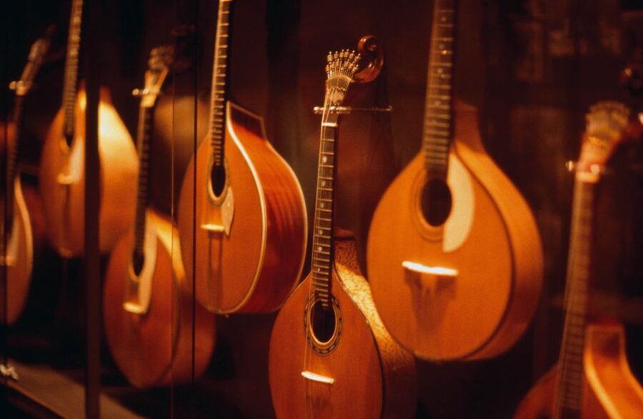 Porto: All-Inclusive Fado Dinner Show and Night Tour - Booking details worth knowing