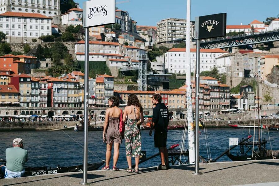 Porto and Foz: Private Douro City Tour in an Electric Ford T - Crystal Palace Gardens and the city from above