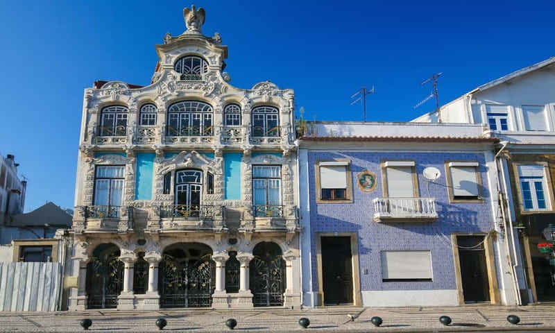 Porto:Aveiro, Cruise, Costa Nova & Capelha da Pedra Full Day - Who should book this day out?