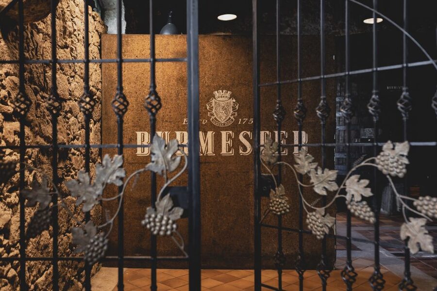 Porto: Burmester Cellar Tour with Tasting & Pairing Options - The Port tasting: two wines, three wines, or chocolate
