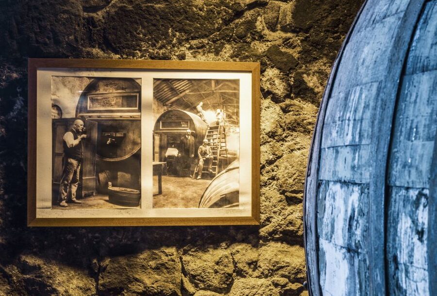 Porto: Burmester Cellar Tour with Tasting & Pairing Options - Is $25 a fair price?