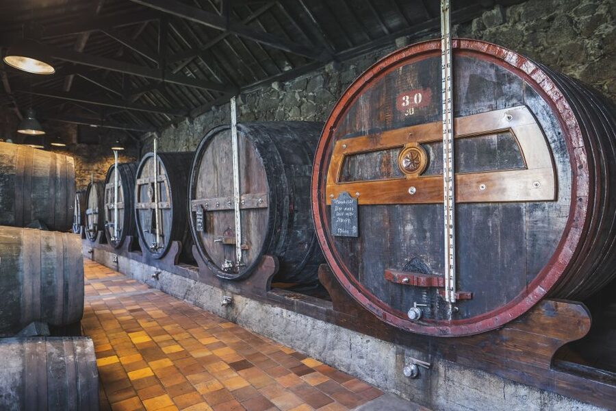 Porto: Burmester Cellar Tour with Tasting & Pairing Options - What happens during the 60-minute visit
