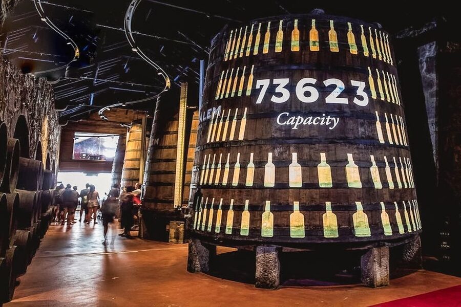Porto: Cálem Cellar Tour, Fado Show & Wine Tasting - The 45-minute Fado performance