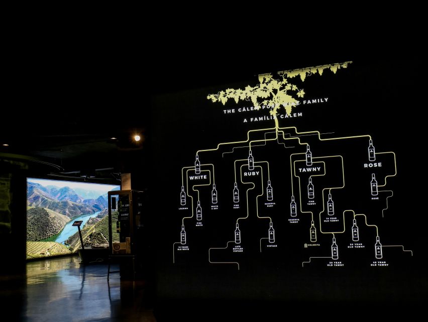 Porto: Cálem Cellar Tour, Interactive Museum & Wine Tasting - The 15-minute museum: a fast lesson in the Douro