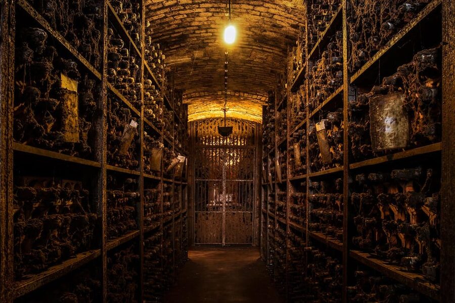 Porto: Carvalhas cellar tour at Real Companhia Velha - The Silva Reis Family Collection