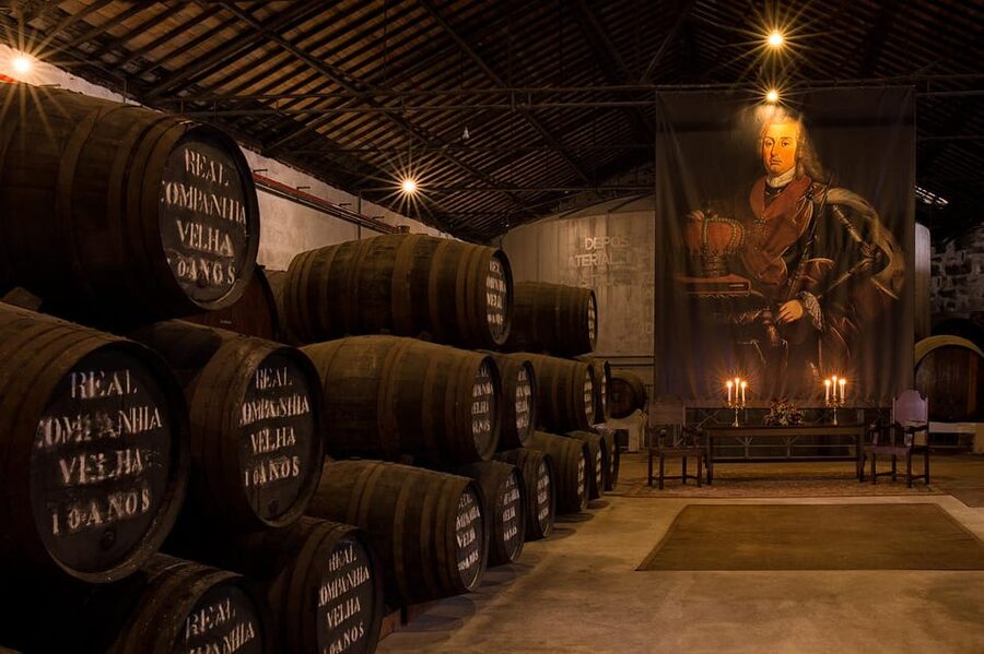 Porto: Carvalhas cellar tour at Real Companhia Velha - Should You Book Real Companhia Velha?