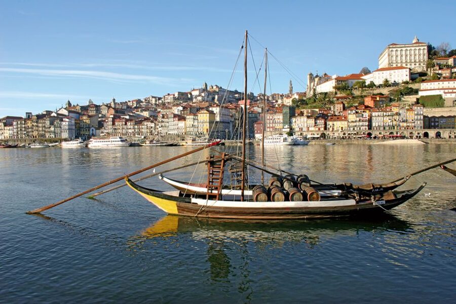 Porto: City Tour, 6 Bridges Cruise and Wine Tasting - Who should book this Porto experience
