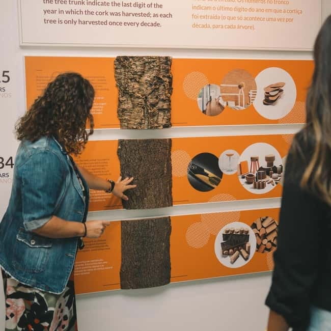 Porto: Combined Ticket for WOW Cultural District - Is $38 a fair price?