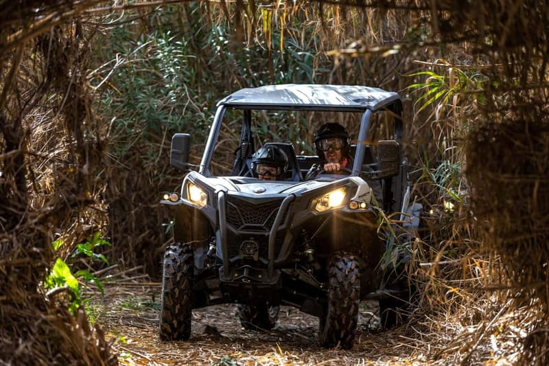 Porto: Dirt and Dust Tour by Oporto Buggy - Why this one-hour ride packs a punch