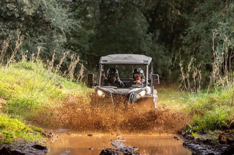 Porto: Dirt and Dust Tour by Oporto Buggy - Driving through Rally de Portugal territory