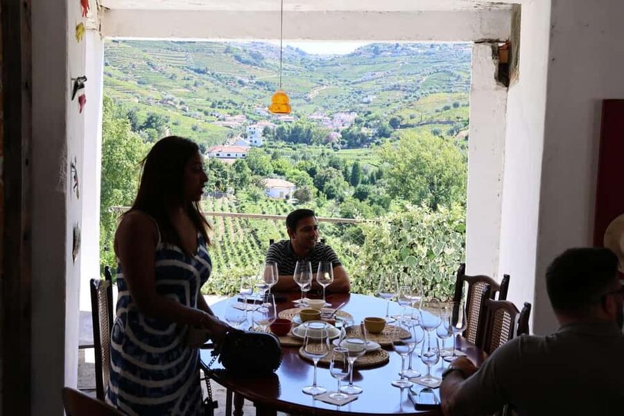 Porto: Douro Valley, 2 Wineries, Lunch, and 1-Hour Boat Tour - The N222 and the second winery