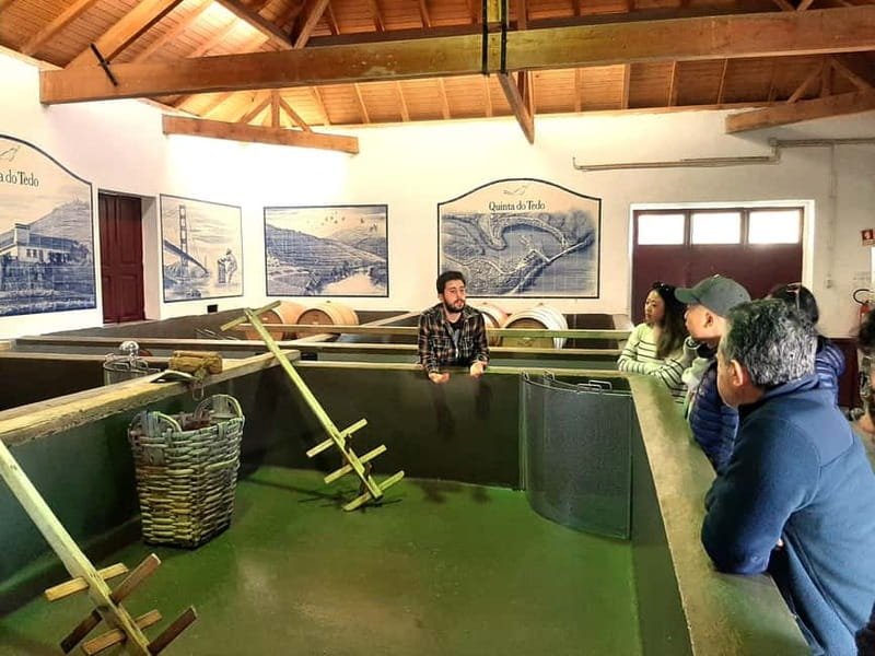 Porto: Douro Valley, 2 Wineries, Lunch & Private Boat Trip - Why this Douro Valley day works so well