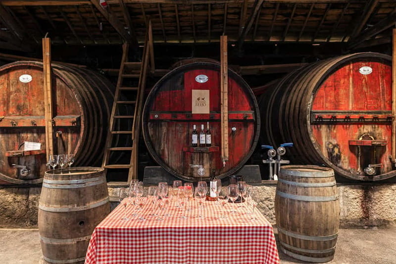 Porto: Douro Valley, 2 Wineries, Lunch & Private Boat Trip - The guides make the difference