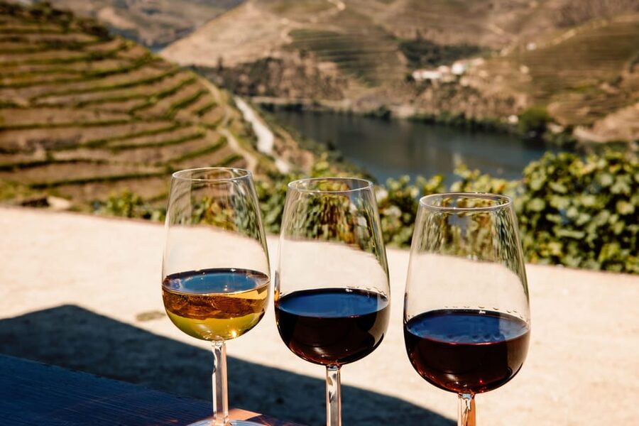 Porto: Douro Valley & Amarante Wine, Food & River Tour - Why this Porto day trip works so well