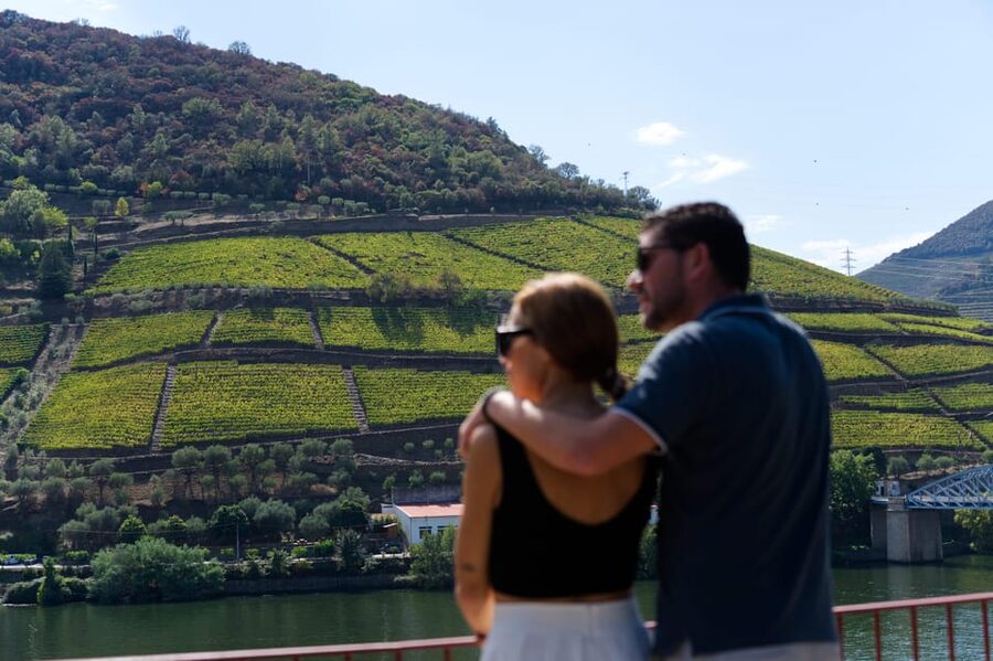Porto: Douro Valley & Amarante Wine, Food & River Tour - A Douro quinta and three Port styles