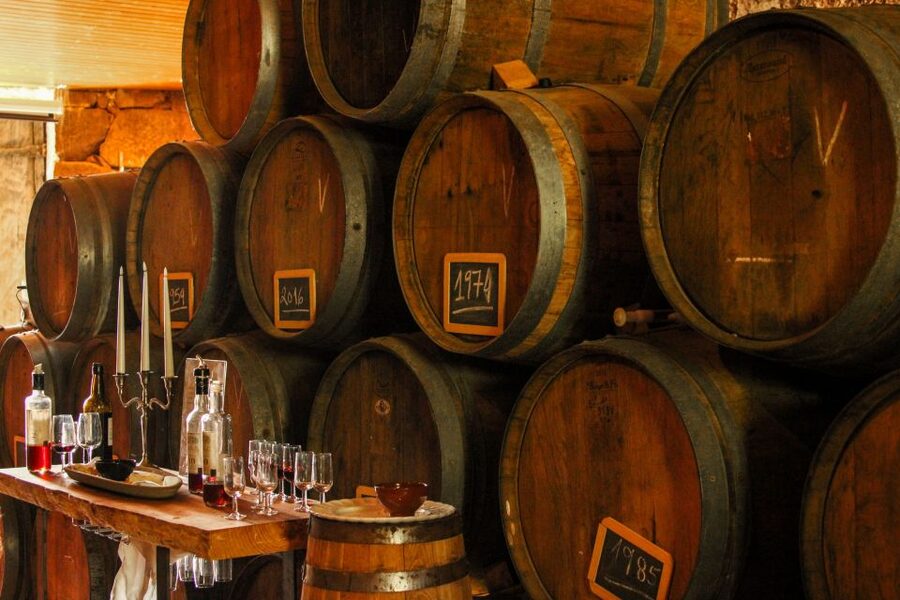 Porto: Douro Valley History & Wine Tour with Cruise & Lunch - Who should book this tour?