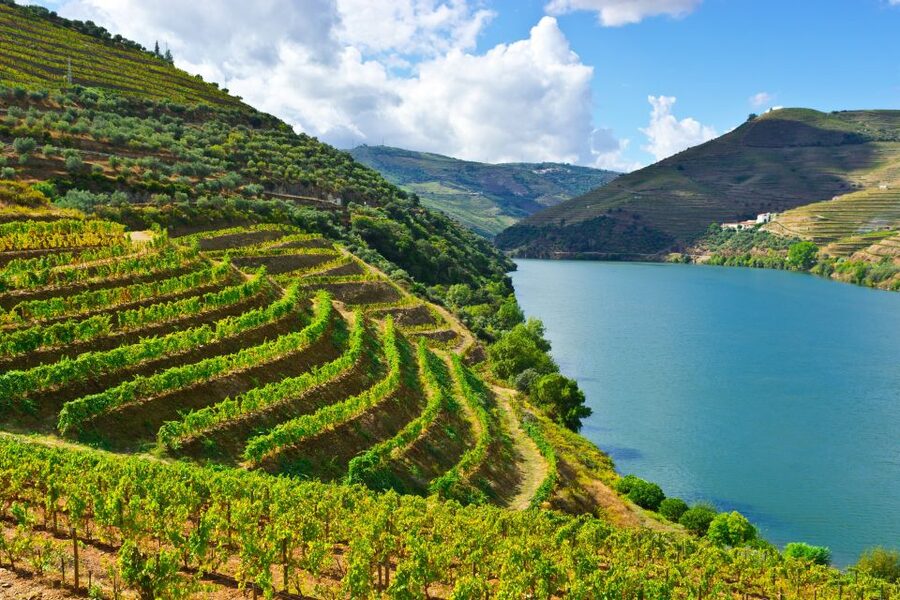 Porto: Douro Valley History & Wine Tour with Cruise & Lunch - Why this Douro day works so well