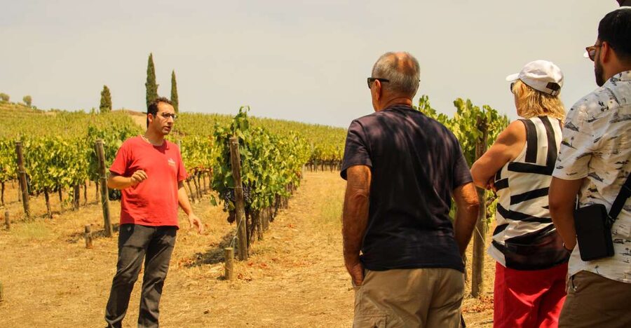 Porto: Douro Valley History & Wine Tour with Cruise & Lunch - Amarante gives the day a gentle start