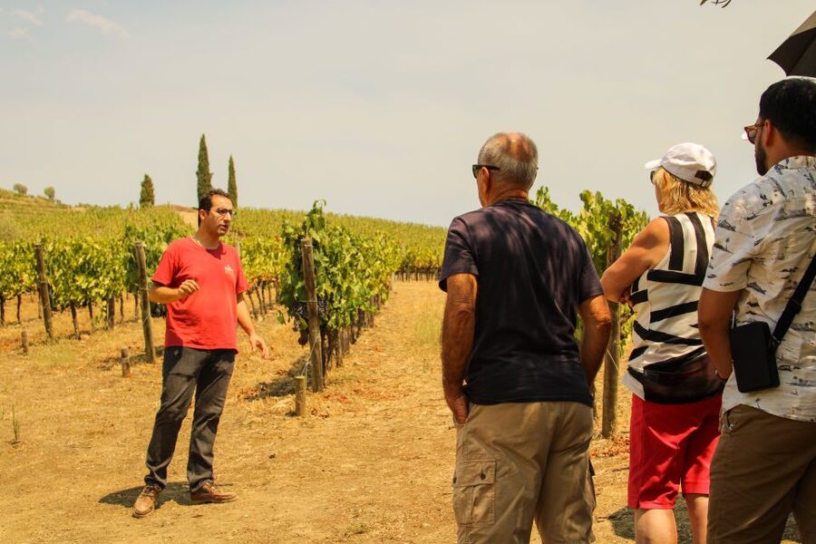 Porto: Douro Valley History & Wine Tour with Cruise & Lunch - Meeting your guide near Porto Cathedral