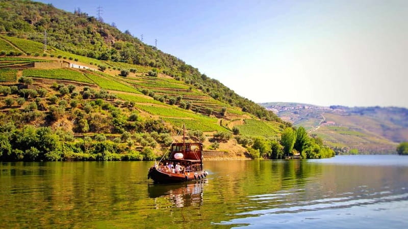 Porto: Douro Valley Tour at 2 Wineries with Lunch and Cruise - At a glance