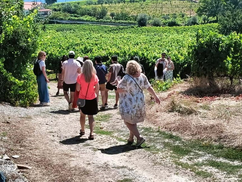Porto: Douro Valley Tour at 2 Wineries with Lunch and Cruise - Why this Douro Valley tour works well from Porto