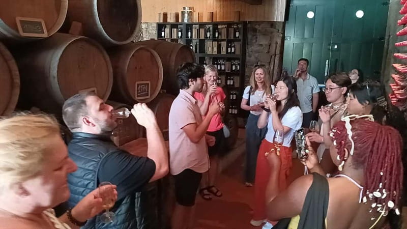 Porto: Douro Valley Tour at 2 Wineries with Lunch and Cruise - The return to Porto