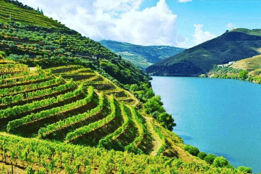Porto: Douro Valley Tour w/ 3 Tastings, Lunch, & Opt. Cruise - Why the Douro makes a strong day trip from Porto
