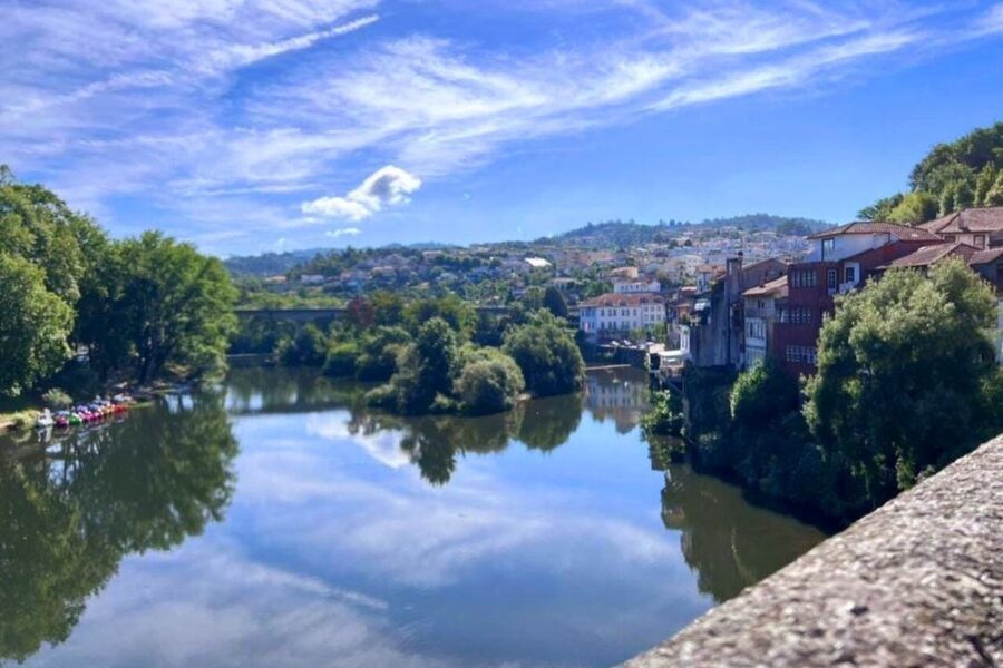 Porto: Douro Valley Tour w/ 3 Tastings, Lunch, & Opt. Cruise - Who should book this tour?