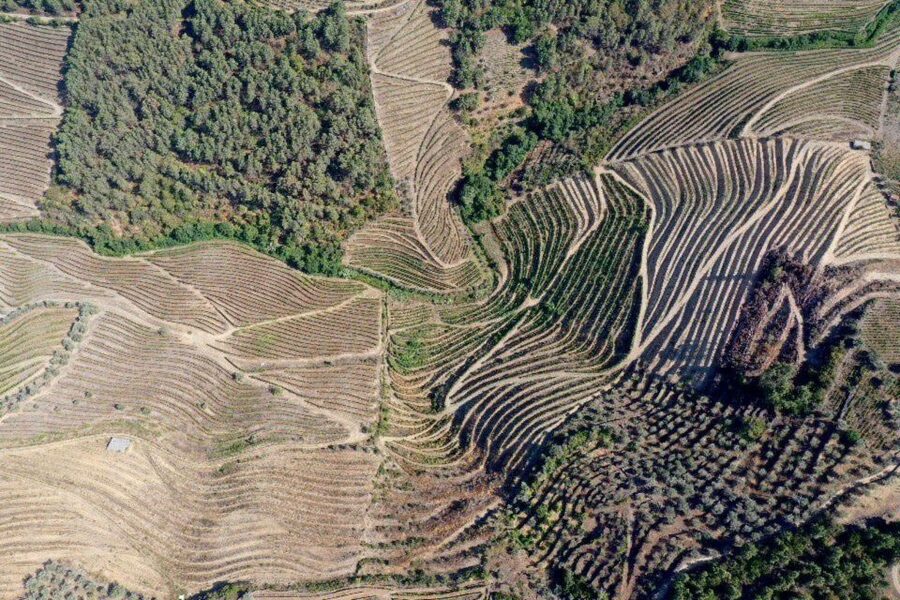 Porto: Douro Valley Tour w/ 3 Tastings, Lunch, & Opt. Cruise - Pinhão tiles and the optional Douro cruise