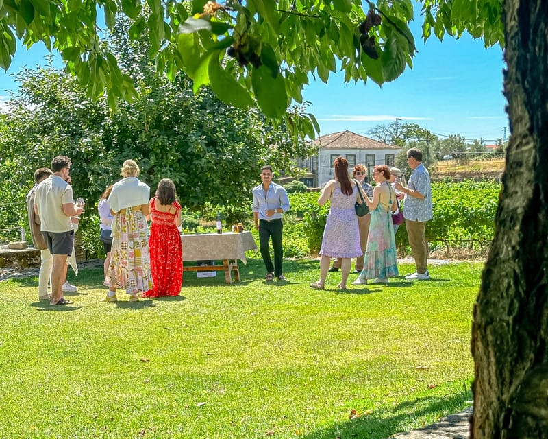 Porto: Douro Valley Tour with 2 Wineries, Lunch and Cruise - Key points to know before booking