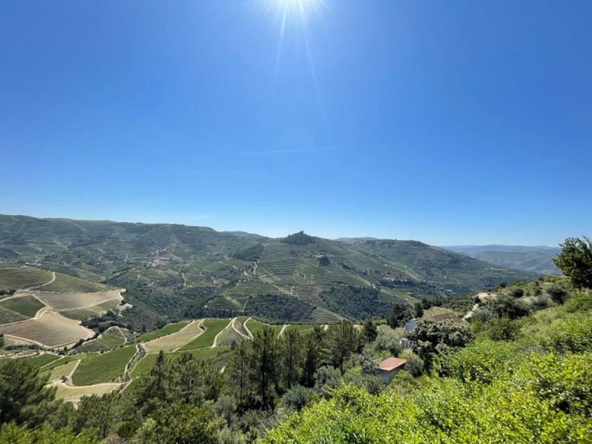 Porto: Douro Valley Tour with 2 Wineries, Lunch and Cruise - First views of the Douro Valley