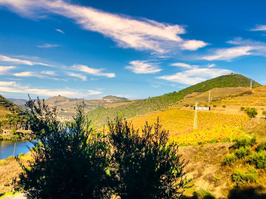Porto: Douro Valley Tour with 2 Wineries, Lunch and Cruise - Winery one: Port, olive oil, and local production