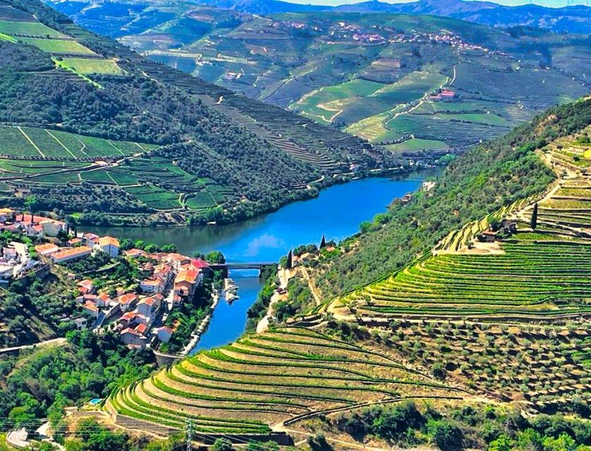 Porto: Douro Valley Tour with 2 Wineries, Lunch and Cruise - What the guide adds to the experience