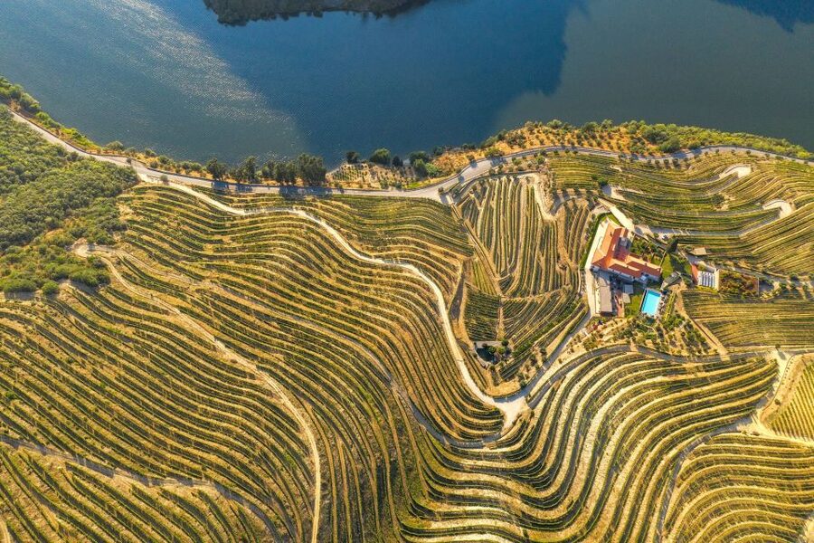 Porto: Douro Valley Tour with Lunch, Boat Cruise & Tastings - Who should book this Douro day trip?